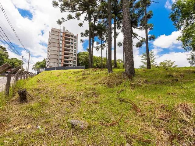 Terreno venda em Região Geográfica Imediata de Curitiba, Região Metropolitana de Curitiba