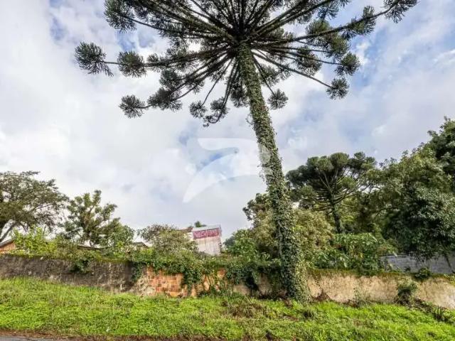 Terreno venda em Região Geográfica Imediata de Curitiba, Região Metropolitana de Curitiba