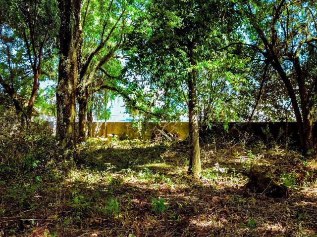 Terreno venda em Região Geográfica Imediata de Curitiba, Região Metropolitana de Curitiba