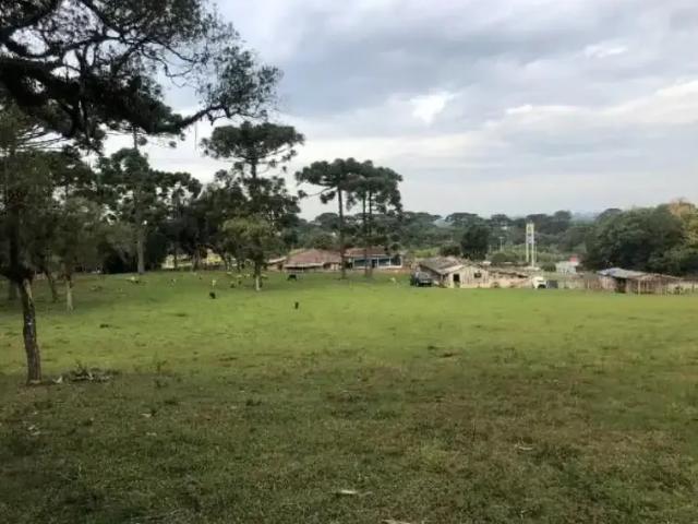 Terreno venda em Região Geográfica Imediata de Curitiba, Região Metropolitana de Curitiba