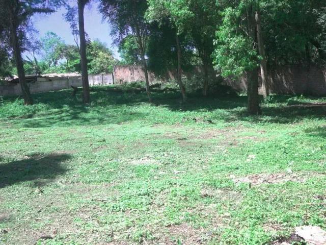 Terreno venda em Região Geográfica Imediata de Curitiba, Região Metropolitana de Curitiba