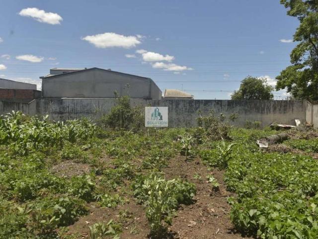 Terreno venda em Uberaba, Curitiba
