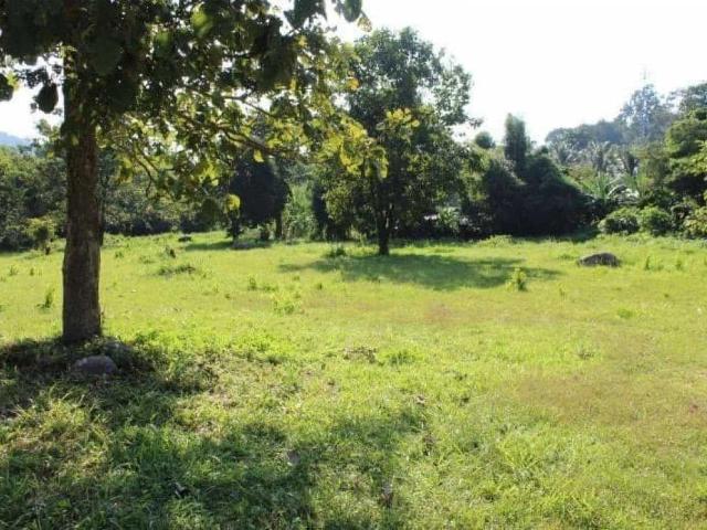Terreno venda em Umbará, Curitiba