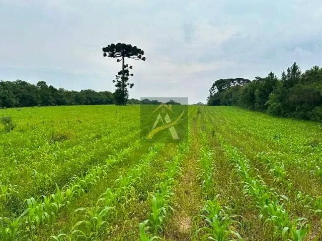 Terreno venda em Região Geográfica Imediata de Curitiba, Região Metropolitana de Curitiba
