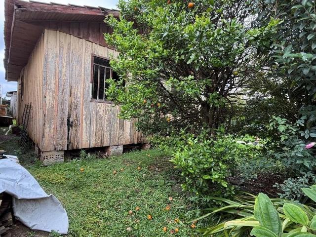 Terreno venda em Casa, Curitiba