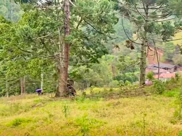 Terreno venda em Região Geográfica Imediata de Itajubá, Delfim Moreira