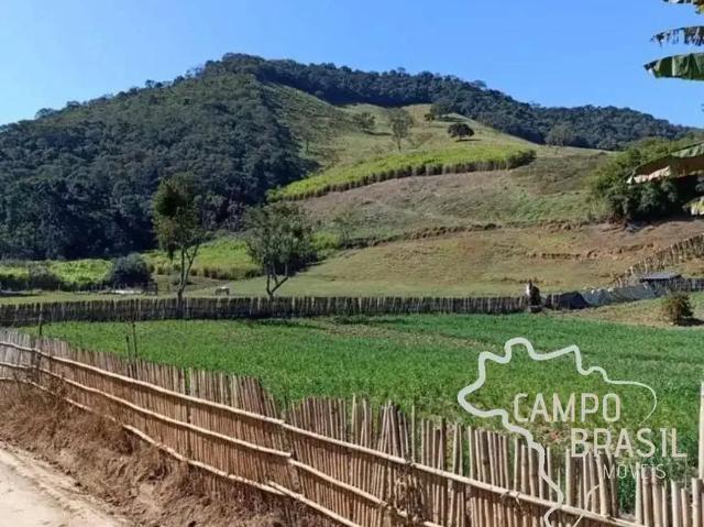 Terreno venda em Região Geográfica Imediata de Itajubá, Delfim Moreira