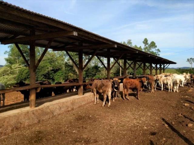 Terreno venda em Região Geográfica Imediata de Chapecó, Região Sul