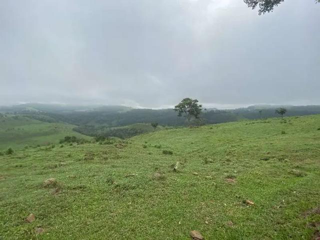Terreno venda em Região Geográfica Imediata de São Miguel do Oeste, Descanso
