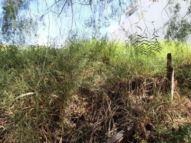 Terreno venda em Região Geográfica Imediata de Divinópolis, Divinópolis