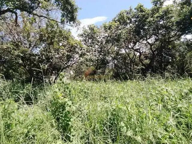 Terreno venda em Região Geográfica Imediata de Posse-Campos Belos, Divinópolis de Goiás