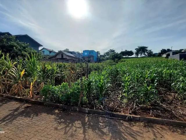 Terreno venda em Região Geográfica Imediata de Novo Hamburgo - São Leopoldo, Região Metropolitana de Porto Alegre