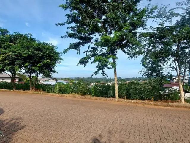 Terreno venda em Região Geográfica Imediata de Novo Hamburgo - São Leopoldo, Região Metropolitana de Porto Alegre