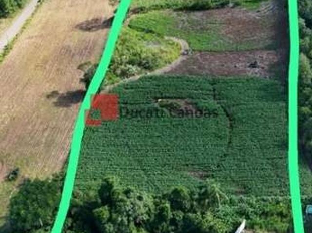 Terreno venda em Região Geográfica Imediata de Novo Hamburgo - São Leopoldo, Região Metropolitana de Porto Alegre