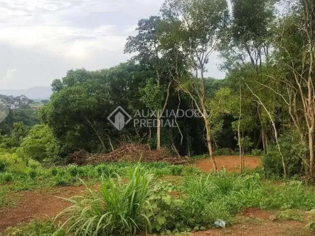 Terreno venda em Região Geográfica Imediata de Novo Hamburgo - São Leopoldo, Região Metropolitana de Porto Alegre