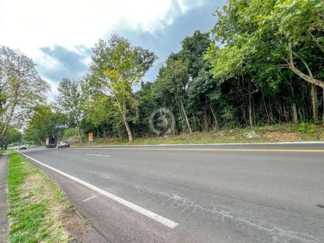Terreno venda em Região Geográfica Imediata de Novo Hamburgo - São Leopoldo, Região Metropolitana de Porto Alegre