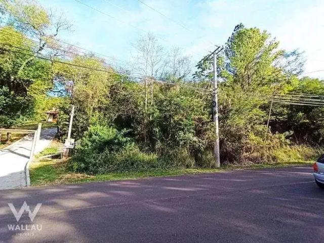 Terreno venda em Região Geográfica Imediata de Novo Hamburgo - São Leopoldo, Região Metropolitana de Porto Alegre
