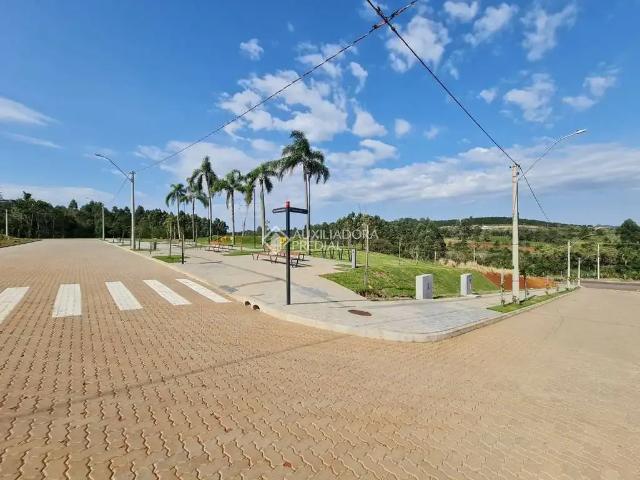 Terreno venda em Região Geográfica Imediata de Novo Hamburgo - São Leopoldo, Região Metropolitana de Porto Alegre