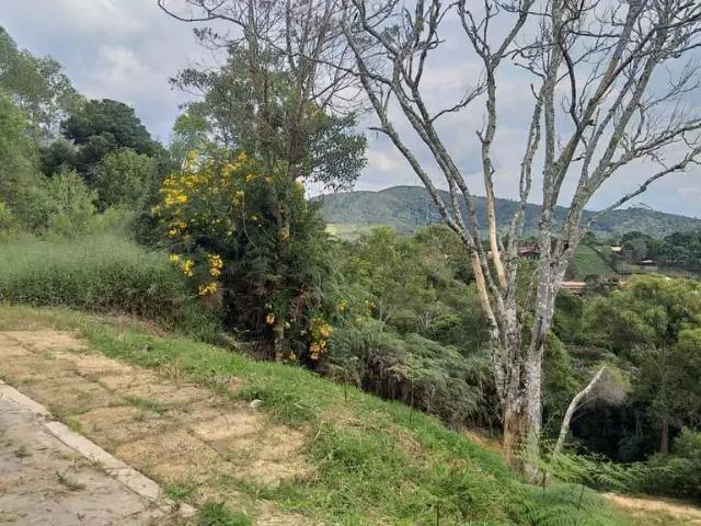Terreno venda em Região Geográfica Imediata de Afonso Cláudio - Venda Nova do Imigrante - Santa Maria de Jetibá, Domingos Martins