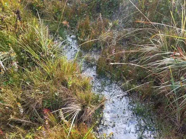 Terreno venda em Região Geográfica Imediata de Afonso Cláudio - Venda Nova do Imigrante - Santa Maria de Jetibá, Domingos Martins