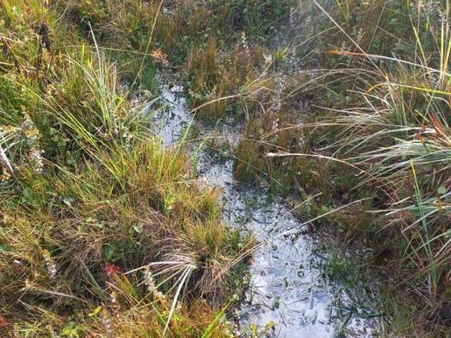 Terreno venda em Aracê, Domingos Martins
