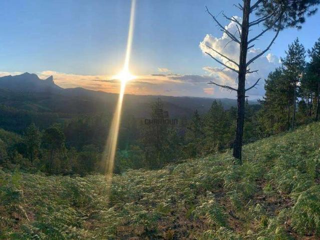Terreno venda em Aracê, Domingos Martins