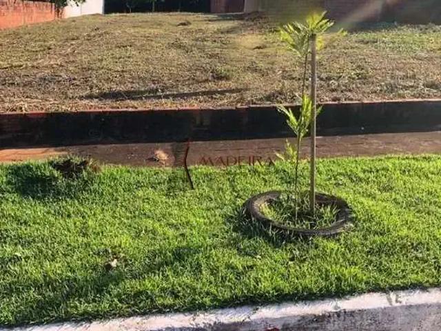 Terreno venda em Região Geográfica Imediata de Maringá, Doutor Camargo