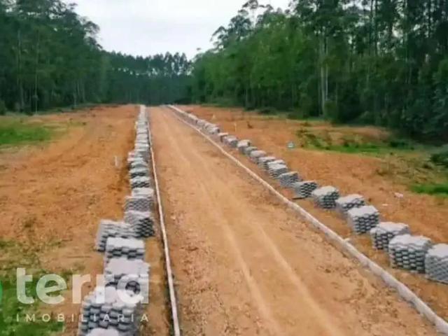 Terreno venda em Região Geográfica Imediata de Blumenau, Doutor Pedrinho