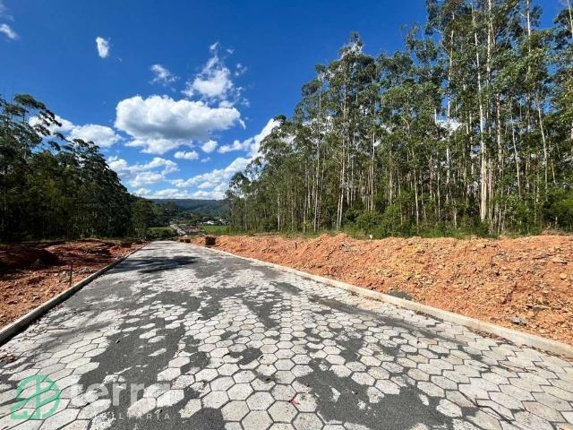 Terreno venda em Região Geográfica Imediata de Blumenau, Doutor Pedrinho