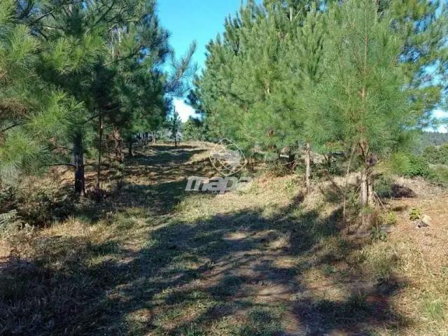 Terreno venda em Região Geográfica Imediata de Blumenau, Doutor Pedrinho