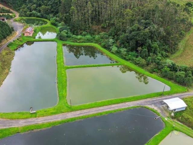 Terreno venda em Doutor Pedrinho, Região Geográfica Intermediária de Blumenau