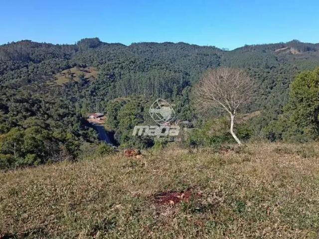 Terreno venda em Região Geográfica Imediata de Blumenau, Doutor Pedrinho