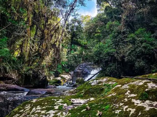 Terreno venda em Região Geográfica Imediata de Blumenau, Doutor Pedrinho