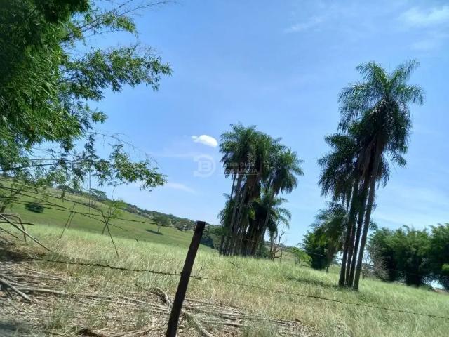 Terreno venda em Região Imediata de Dracena, Dracena