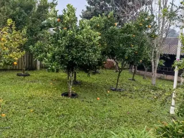 Terreno venda em Região Geográfica Imediata de Anápolis, Anápolis