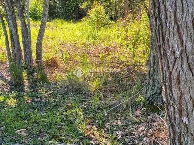 Terreno venda em Região Geográfica Imediata de Porto Alegre, Região Metropolitana de Porto Alegre
