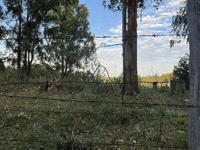 Terreno venda em Região Geográfica Imediata de Porto Alegre, Região Metropolitana de Porto Alegre