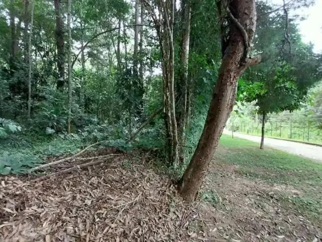 Terreno venda em Região Imediata de São Paulo, Região Metropolitana de São Paulo