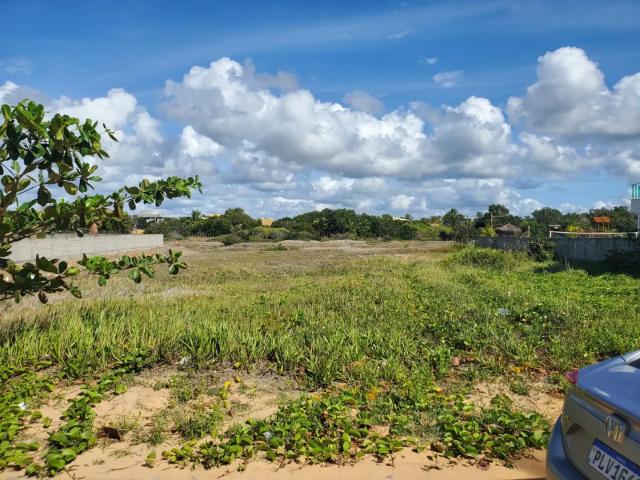 Terreno venda em Região Geográfica Imediata de Alagoinhas, Entre Rios