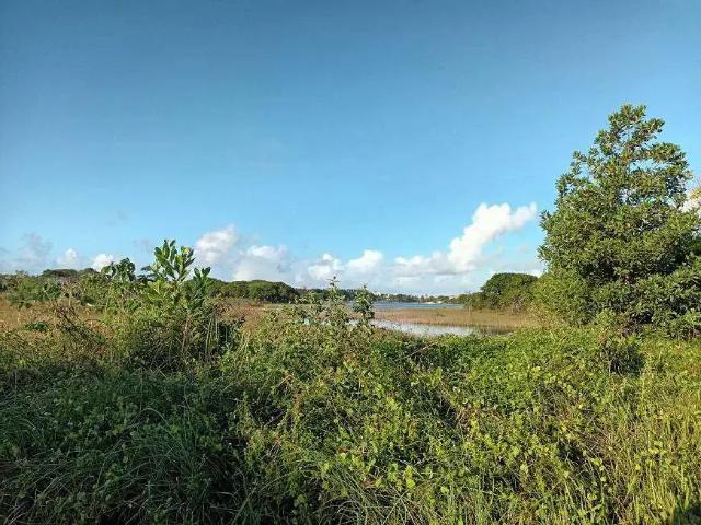 Terreno venda em Região Geográfica Imediata de Alagoinhas, Entre Rios