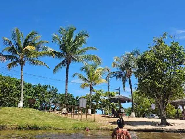 Terreno venda em Região Geográfica Imediata de Alagoinhas, Entre Rios