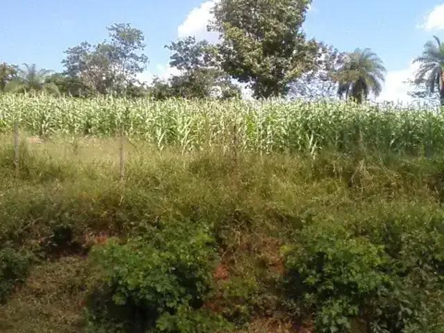 Terreno venda em Região Geográfica Imediata de Belo Horizonte, Região Metropolitana de Belo Horizonte