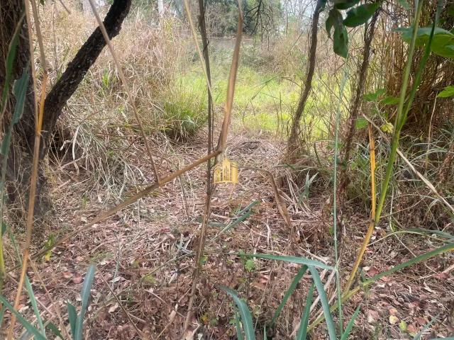 Terreno venda em Residencial Caio Martins, Esmeraldas