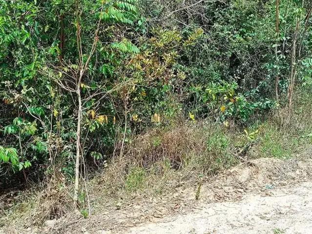 Terreno venda em Centro, Esmeraldas