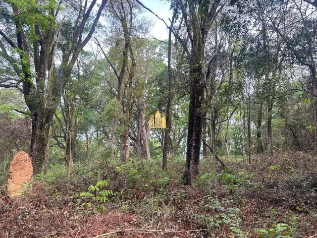 Terreno venda em Centro, Esmeraldas
