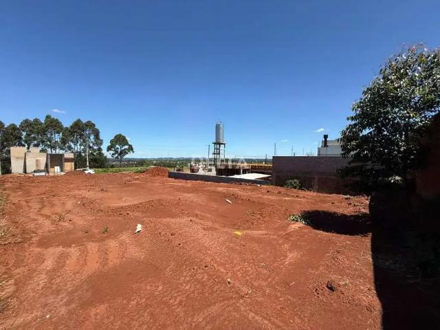 Terreno venda em Região Geográfica Imediata de Novo Hamburgo - São Leopoldo, Região Metropolitana de Porto Alegre
