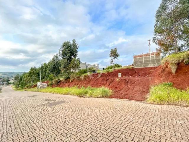 Terreno venda em Região Geográfica Imediata de Novo Hamburgo - São Leopoldo, Região Metropolitana de Porto Alegre