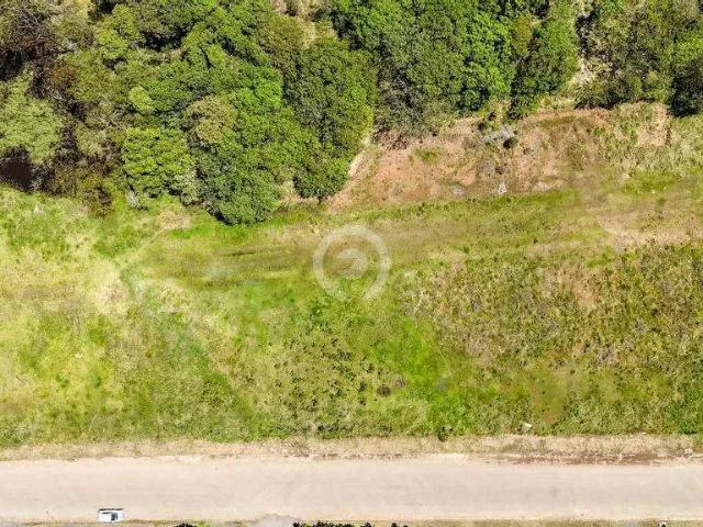 Terreno venda em Região Geográfica Imediata de Novo Hamburgo - São Leopoldo, Região Metropolitana de Porto Alegre