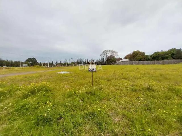 Terreno venda em Região Geográfica Imediata de Novo Hamburgo - São Leopoldo, Região Metropolitana de Porto Alegre