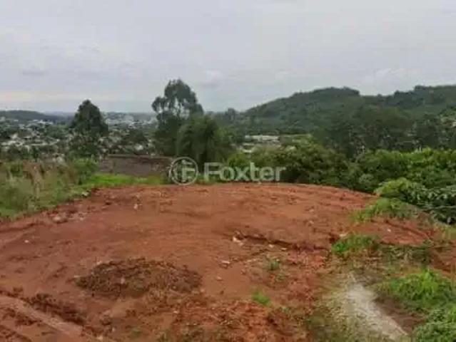 Terreno venda em Região Geográfica Imediata de Novo Hamburgo - São Leopoldo, Região Metropolitana de Porto Alegre